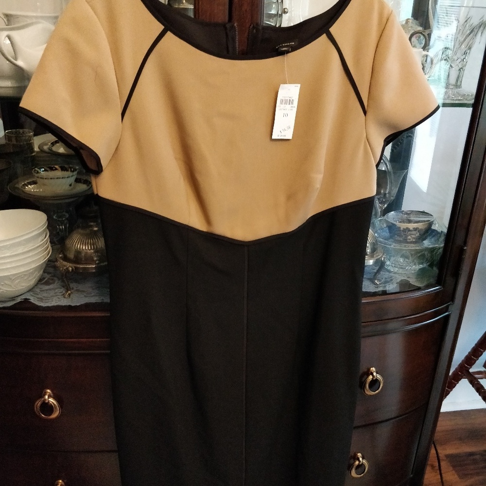 New Ann Taylor shift dress size 10